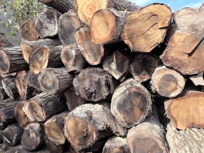 长期求购核桃木图1