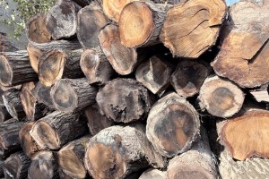 长期求购核桃木