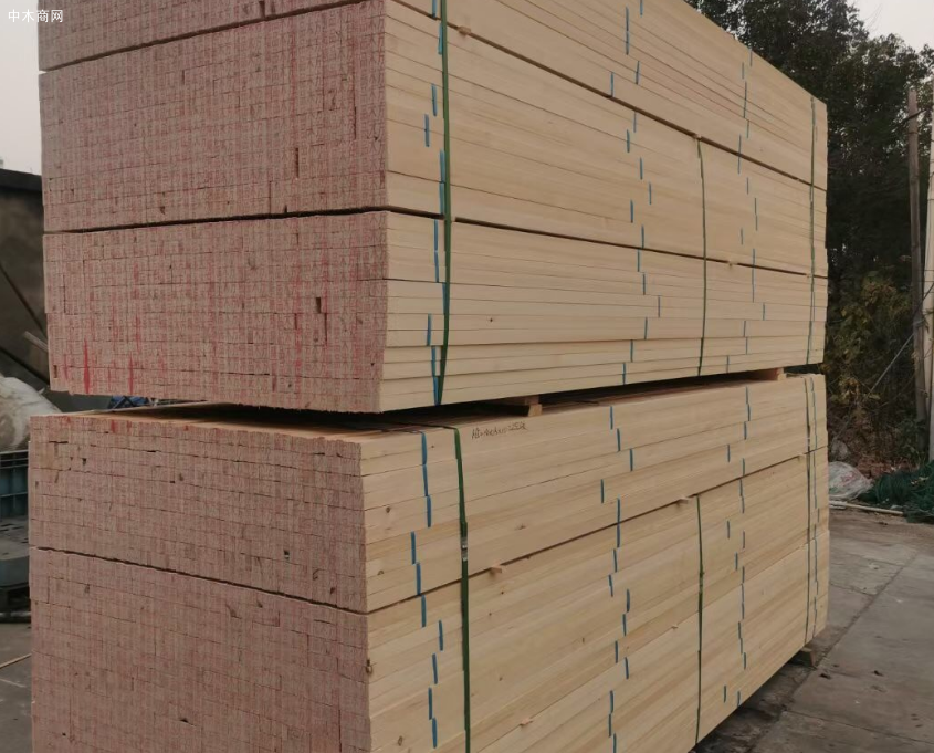 白松价格行情走势分析