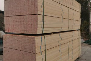 白松价格行情走势分析