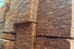 沙比利价格行情走势分析