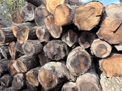 国产黑胡桃实木板材价格及图片图2