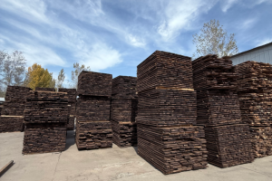 国产黑胡桃木阴干好还是烘干好呢？