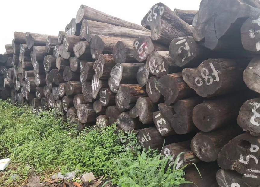 柚木价格行情走势分析 柚木价格行情走势分析