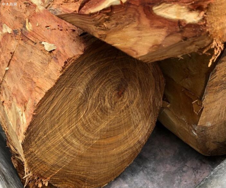 中国从越南进口木材暴增90% 中国从越南进口木材暴增90%