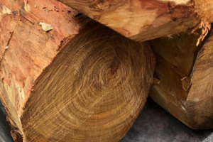 中国从越南进口木材暴增90% 中国从越南进口木材暴增90%