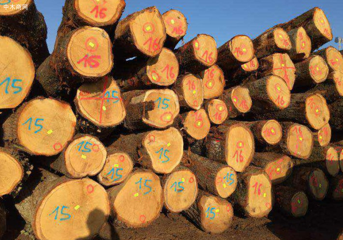 吉尔吉斯斯坦将禁止出口木材和木材产品