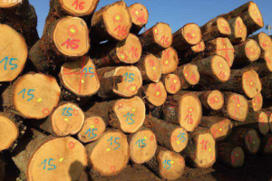 吉尔吉斯斯坦将禁止出口木材和木材产品 吉尔吉斯斯坦将禁止出口木材和木材产品