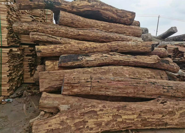 血檀木材价格行情最新消息