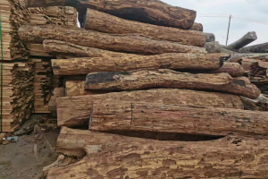 血檀木材价格行情最新消息