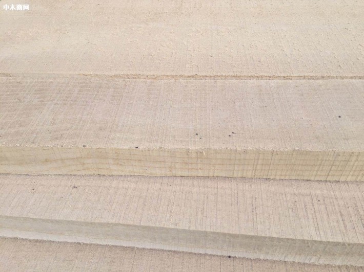 白蜡木木材价格行情走势分析最新