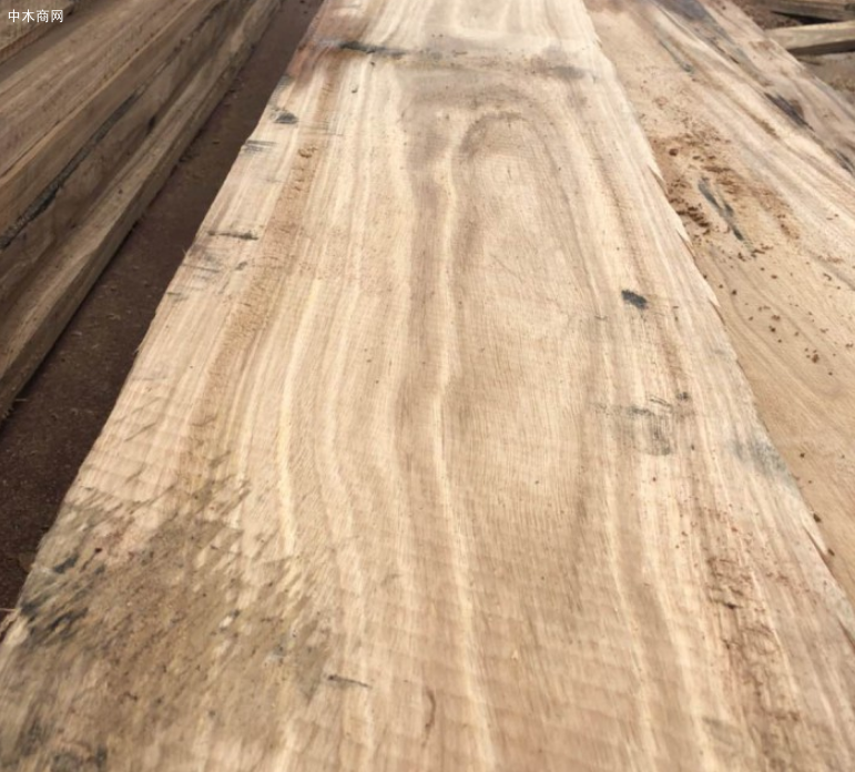 9月喀麦隆当地木材产量暴减