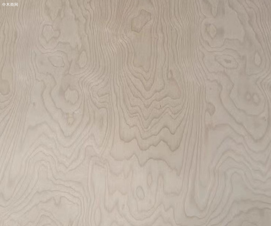 全球胶合板重心转移至非洲，巨头瞄准非洲市场