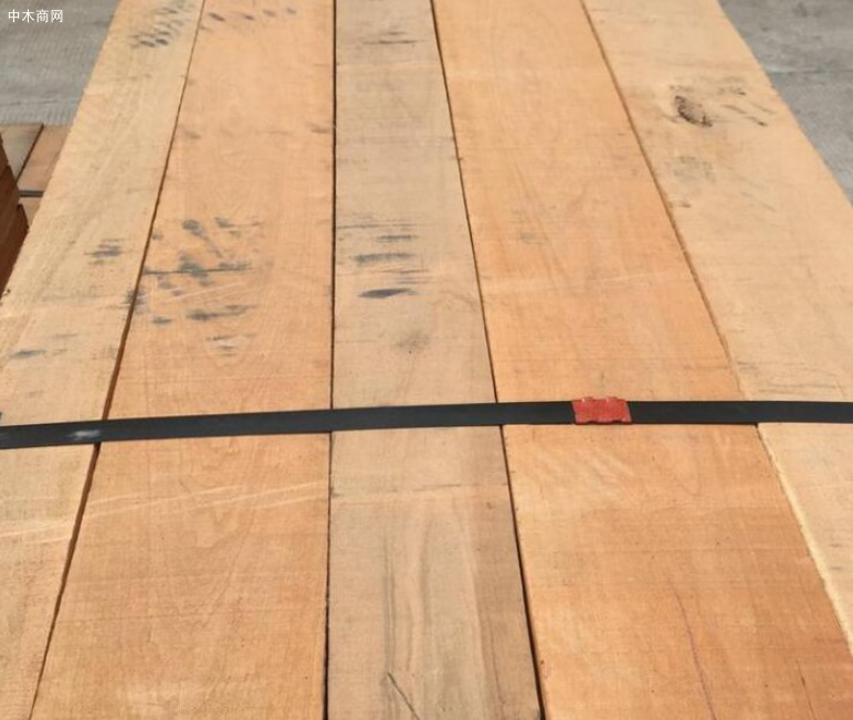 樱桃木材价格行情走势分析