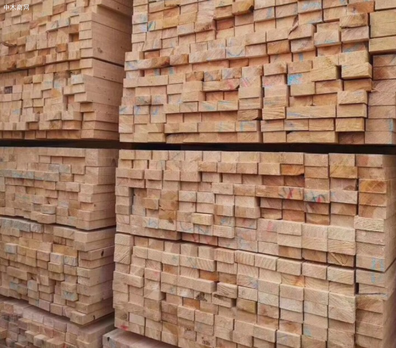 求购：加拿大铁杉木