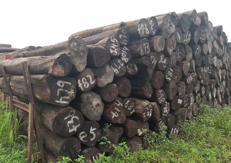 10月中国进口原木及锯材419.0万立方米 10月中国进口原木及锯材419.0万立方米