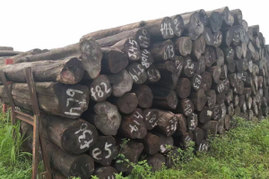 10月中国进口原木及锯材419.0万立方米 10月中国进口原木及锯材419.0万立方米