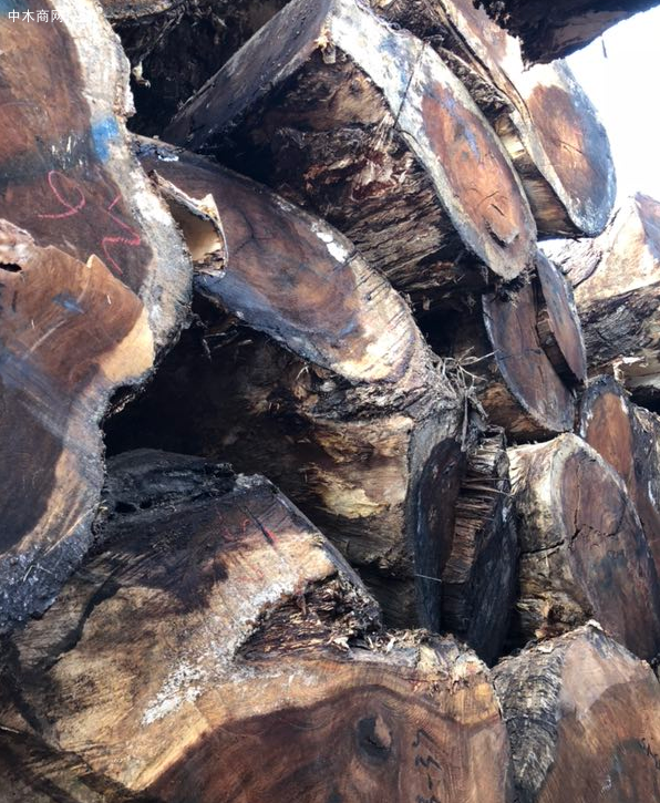 南美胡桃木价格行情如何 南美胡桃木价格行情如何