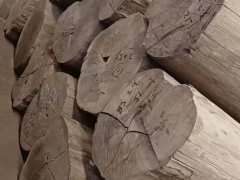 柚木木材价格行情分析最新报价