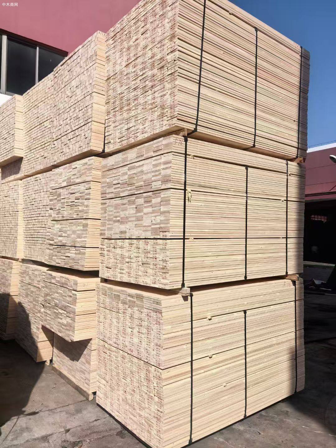 贵港市委书记到港南区调研木业家居产业发展情况 贵港市委书记到港南区调研木业家居产业发展情况