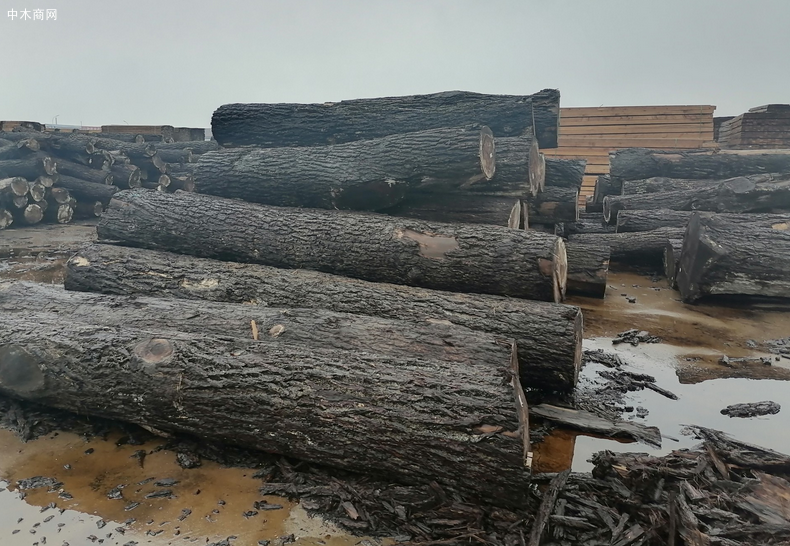 中美原木贸易 中美原木贸易