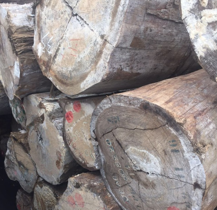 小斑马木材价格行情查询最新 小斑马木材价格行情查询最新