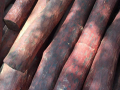 血檀价格行情走势分析 血檀价格行情走势分析