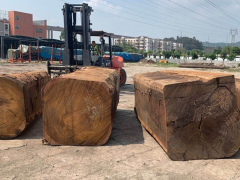 圆盘豆原木价格行情分析