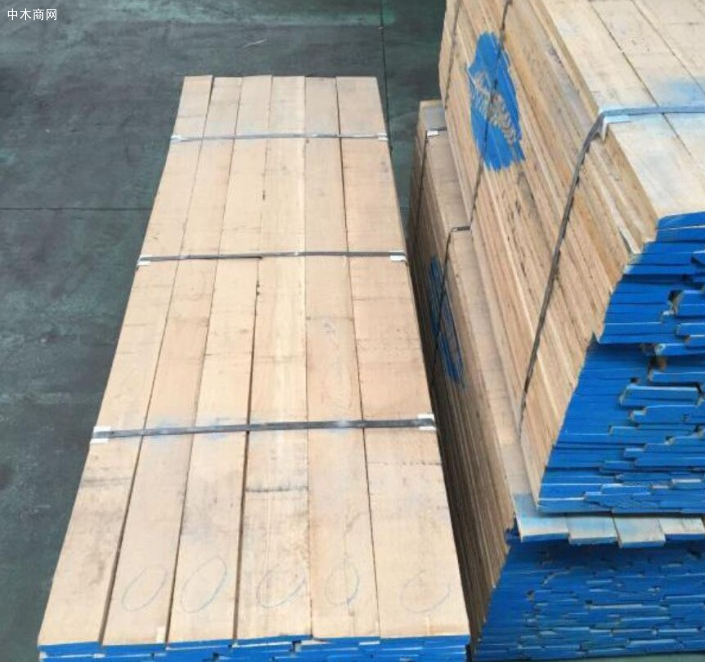 白橡木板材价格行情走势分析