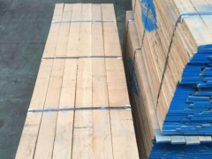 白橡木板材价格行情走势分析