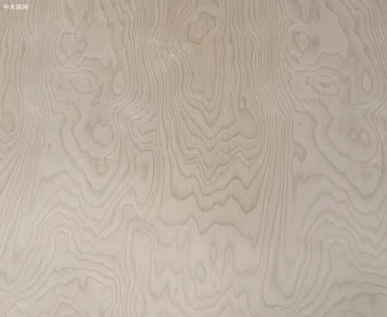 明年6月预计竣工 广西容县胶合板产业园雏形渐显