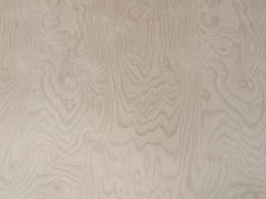 明年6月预计竣工 广西容县胶合板产业园雏形渐显 明年6月预计竣工 广西容县胶合板产业园雏形渐显