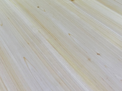 《人造板机械 热磨机》 国家标准通过审查