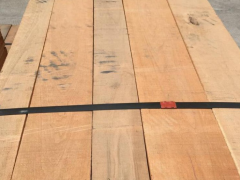 樱桃木价格行情最新消息