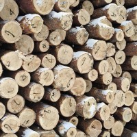 东北木材加工工程板,包装箱,托盘料