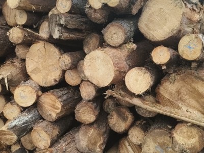 东北木材加工工程板,包装箱,托盘料图9