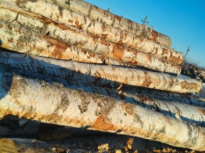 东北木材加工工程板,包装箱,托盘料图8