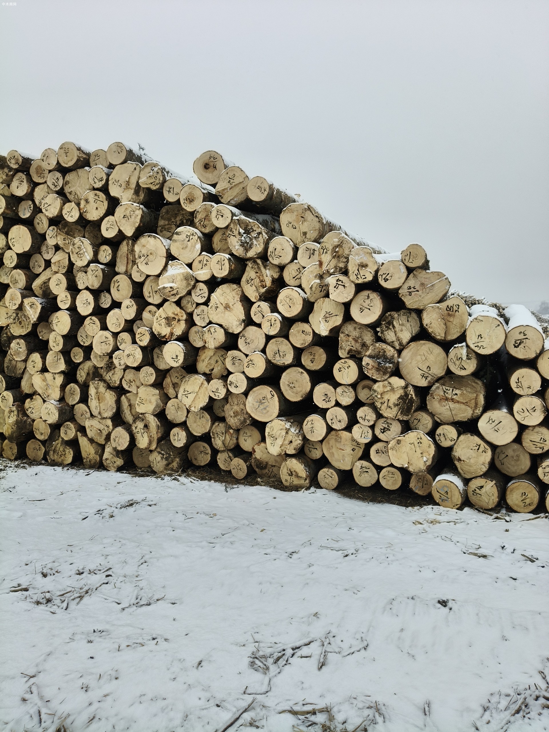 东北木材加工工程板,包装箱,托盘料图片