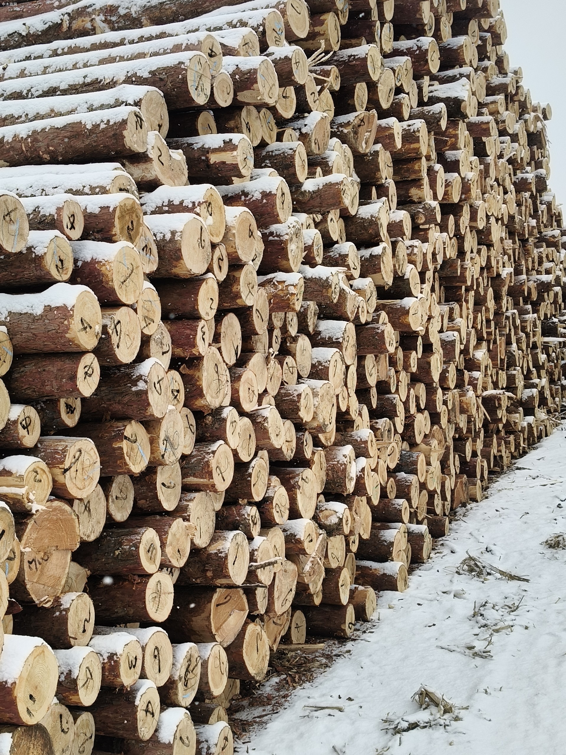 东北木材加工工程板,包装箱,托盘料厂家