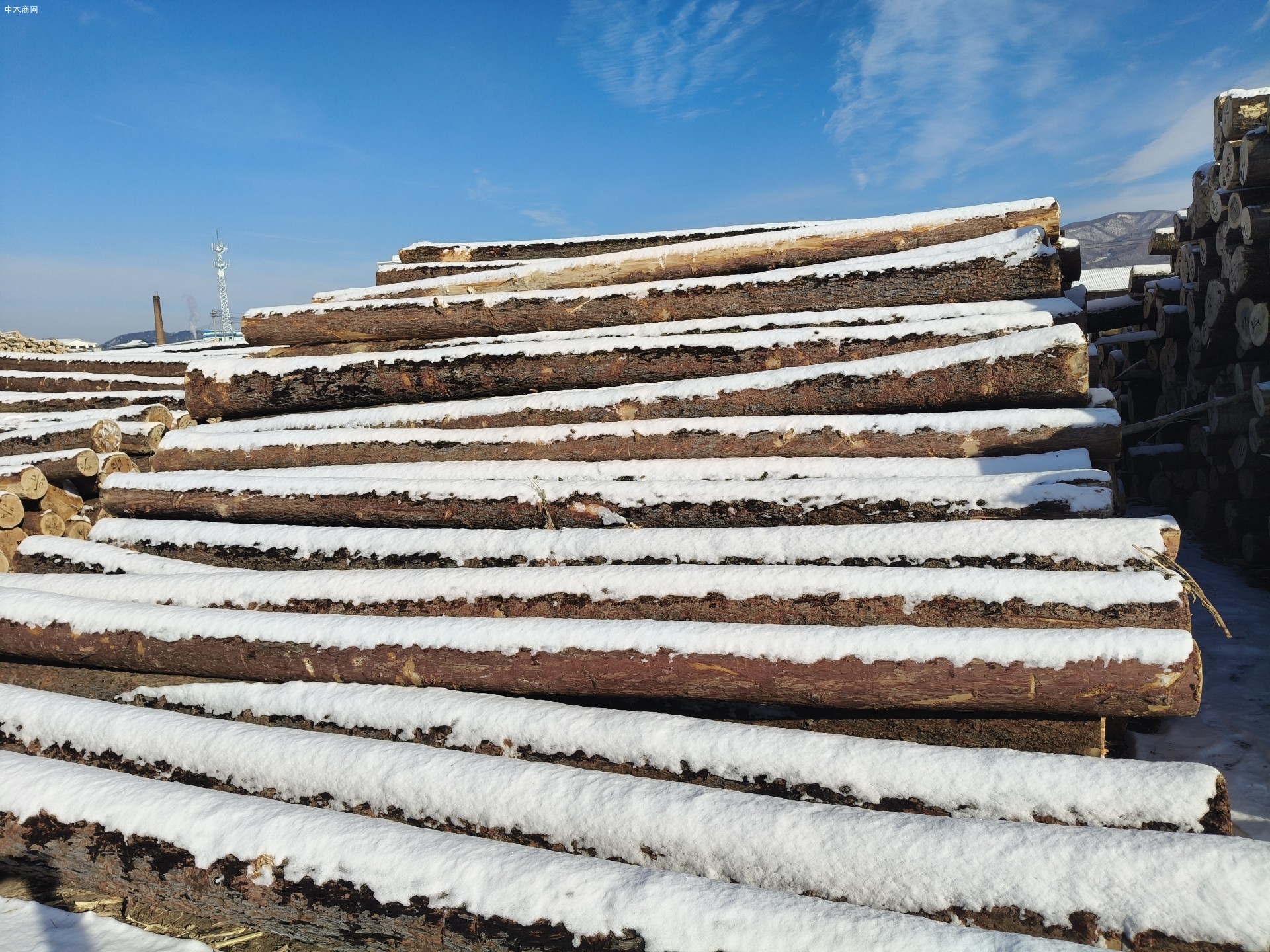 东北木材加工杨木,落叶,桦木樟松工程板,包装箱,托盘料