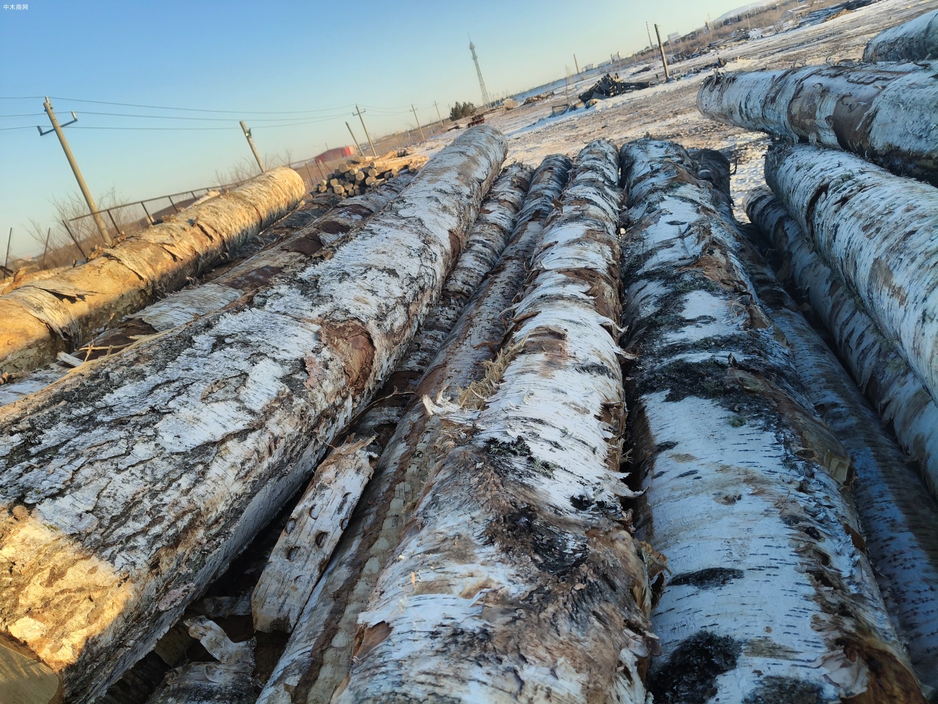 东北木材加工杨木,落叶,桦木樟松工程板,包装箱,托盘料品牌