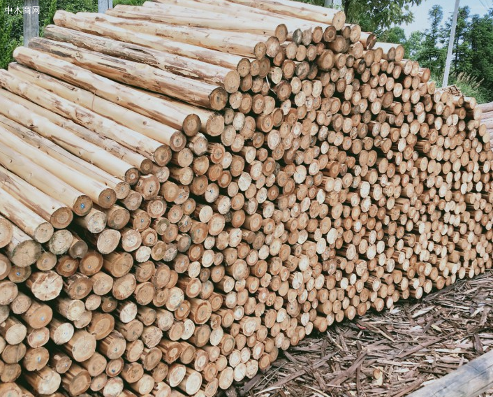 求购:4.2m9公分杉木檩条