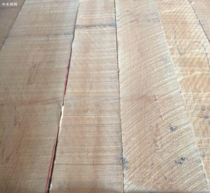 枫木价格行情最新消息