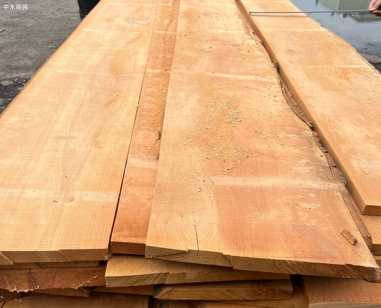 樱桃木价格行情最新消息 樱桃木价格行情最新消息