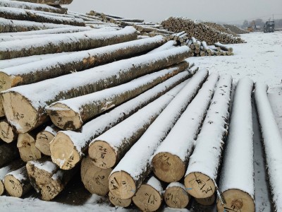 定制东北落叶松工程板,包装箱,托盘料生产厂家图2