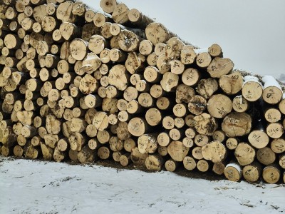 定制东北落叶松工程板,包装箱,托盘料生产厂家