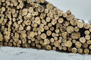 定制东北落叶松工程板,包装箱,托盘料生产厂家 定制东北落叶松工程板,包装箱,托盘料生产厂家