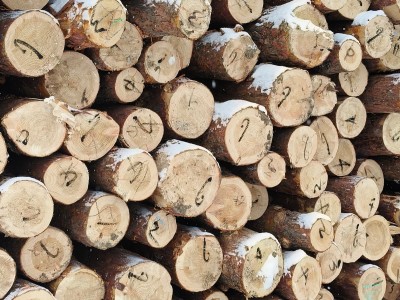 定制东北落叶松工程板,包装箱,托盘料生产厂家图4