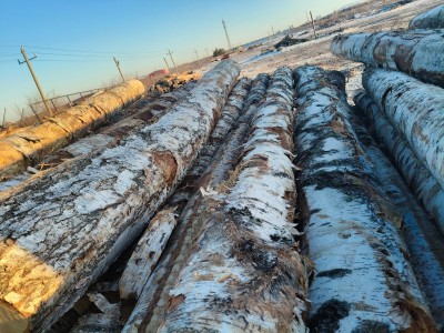 定制东北落叶松工程板,包装箱,托盘料生产厂家图8