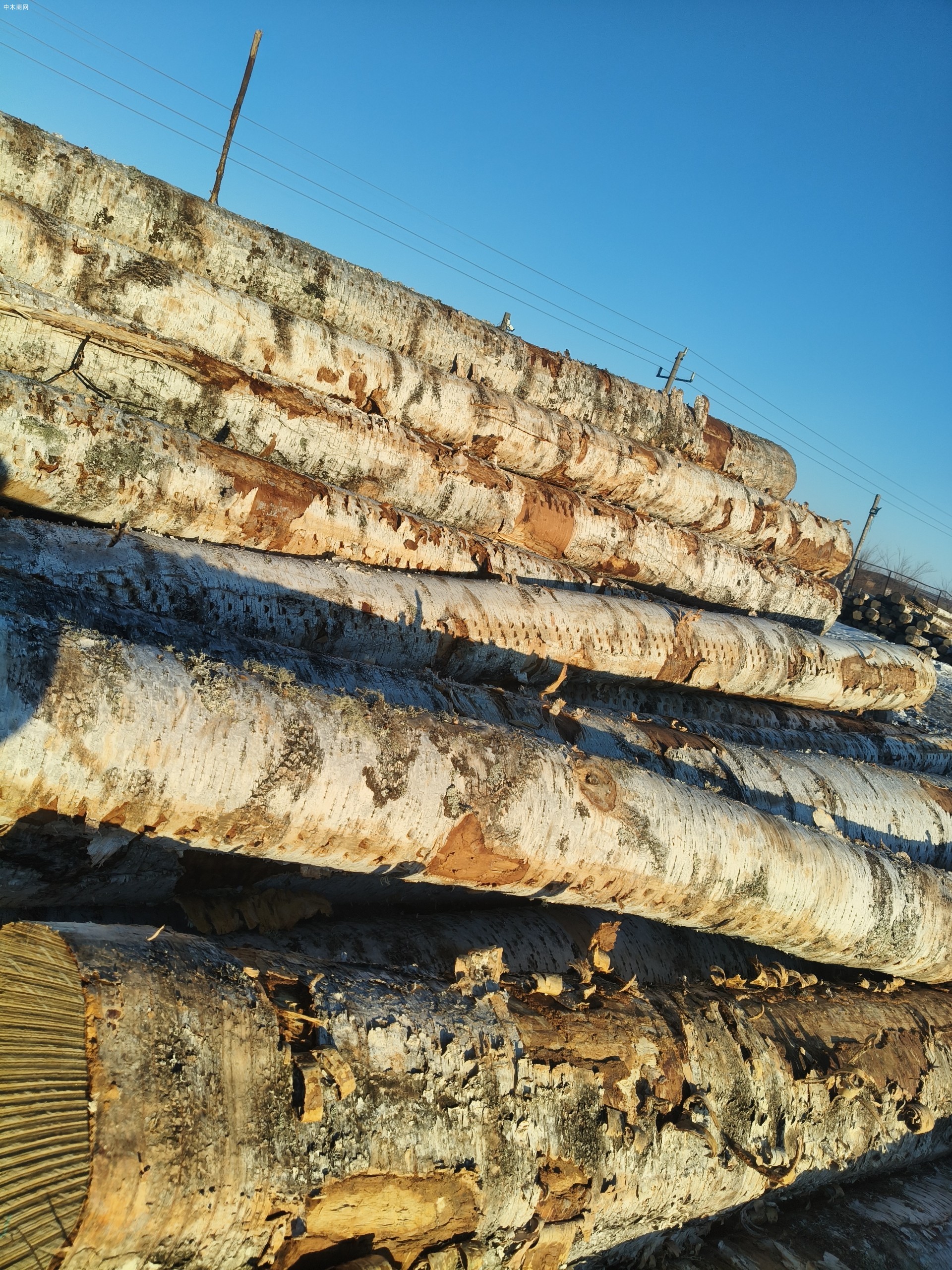  定制东北桦木工程板,包装箱,托盘料生产厂家